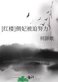 侧妃宠文