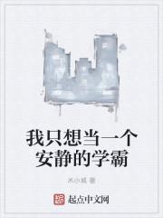 我只想当一个安静的学霸 沈奇 笔趣阁