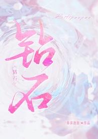 钻石NP 钻石NP