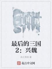 最后的三国2 兴魏起点