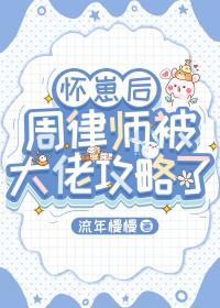 怀崽后周律师被大佬攻略了by流年慢慢