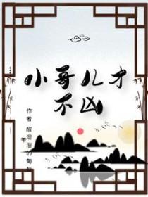 小哥儿在现代