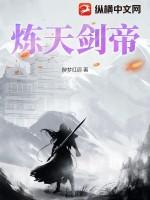 炼天剑帝笔趣阁