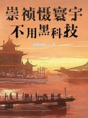 崇祯是什么意思