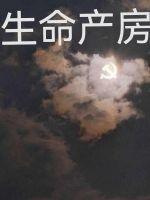 生命—life 生命—life