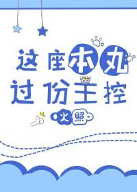 这个本丸过分主控