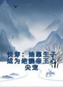 靠生子称霸后宫复杂关系