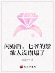 闪婚蜜爱七爷的心尖宠介绍