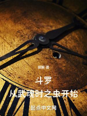 斗罗之武魂时间