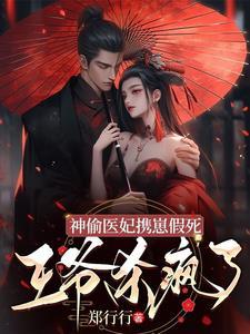神偷王妃有空间 神偷王妃有空间