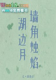 墙角烛焰湖边月(现言)