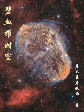 碧血海空全集免费阅读