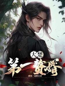 大楚第一赘婿全本TXT
