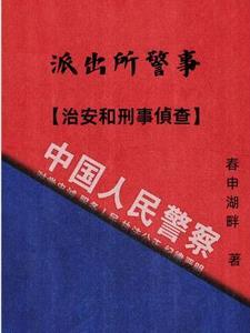 派出所治安警察是正式警吗