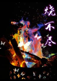 烧不尽阅读 烧不尽阅读