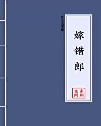 嫁错郎by两面金黄全文免费阅读笔趣阁