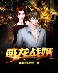 战龙强婿全文阅读