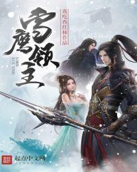 雪鹰领主吞噬星空等级对照表