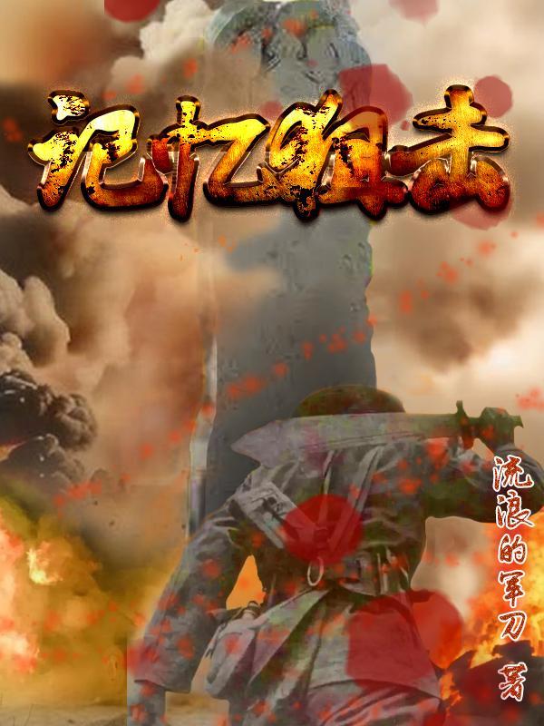 狙击手回忆录