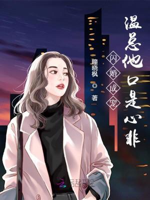 闪婚成宠温总他口是心非听 闪婚成宠温总他口是心非听