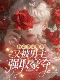 漂亮炮灰好看