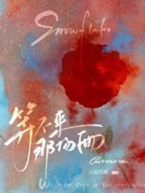 等不来的风还是算了吧什么歌