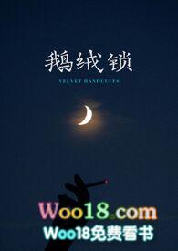 鹅绒锁笔趣阁
