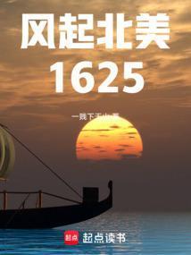 风起北美1625笔趣阁TXT