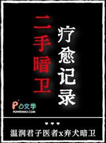 二手暗卫疗愈记录TXT目录 二手暗卫疗愈记录TXT目录
