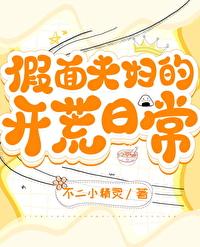 假面夫妇 日剧