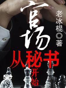 官场密史
