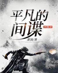 平凡的间谍2